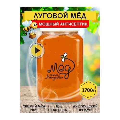 Башкирский луговой мед, 1700 г арт. 101439863680
