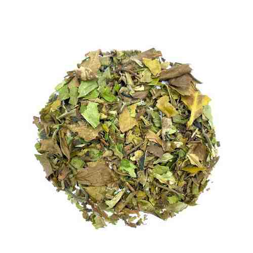 Белый чай Лао Шоу Мэй (Реснички долголетия), Чайная Кружка, 100 гр арт. 101546198076