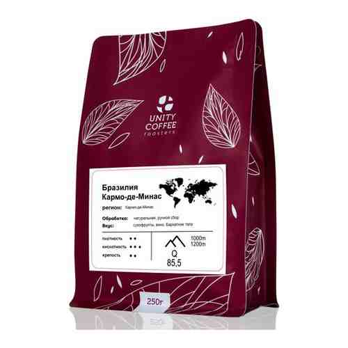 Бразилия Кармо де-Минас кофе в зернах, 250 г / свежая обжарка арт. 101485602668