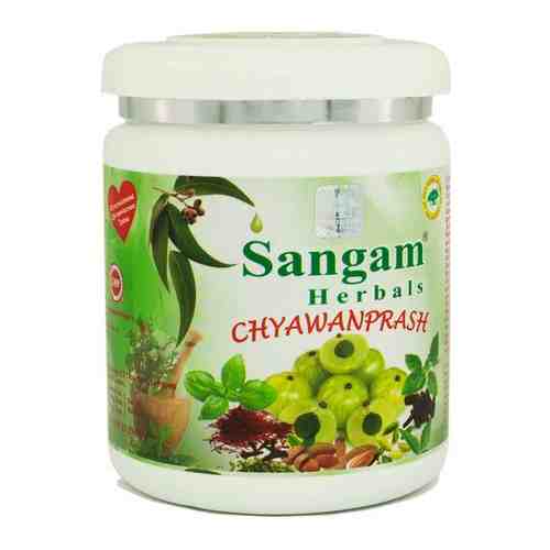 Чаванпраш джем Sangam Herbals, аюрведический, 500 гр. арт. 101504220651