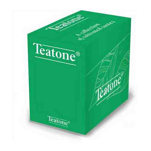Чайный напиток Лесные ягоды Teatone пакетики на чашку 300шт арт. 101374084847