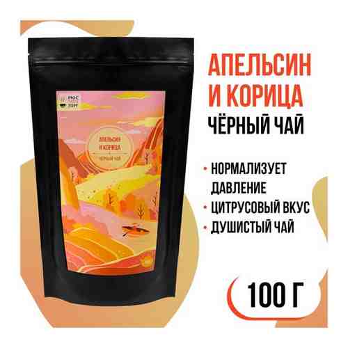 Черный чай Апельсин с корицей в пакете 100гр арт. 101326370186
