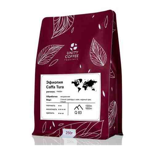 Эфиопия Caffa Tura кофе в зернах, 250 г / свежая обжарка арт. 101179048592
