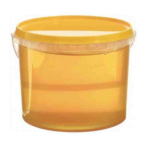 Эспарцетовый мёд 1 кг арт. 101090953849