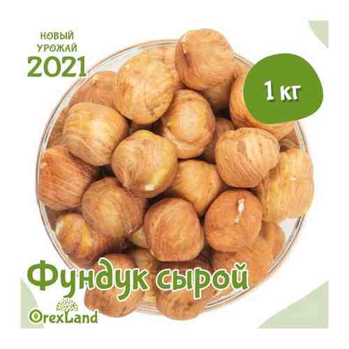 Фундук сырой очищенный сушеный крупный, свежий урожай 2021 Orexland, 1 кг арт. 101745645756