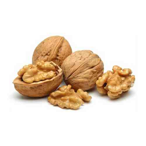 Грецкий орех в скорлупе Экстра Nuts24 5 кг арт. 101469533719