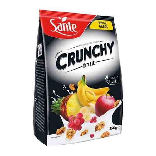 Хрустящие овсяные хлопья Crunchy с фруктами / Crunchy fruit 350g Sante арт. 100842613124