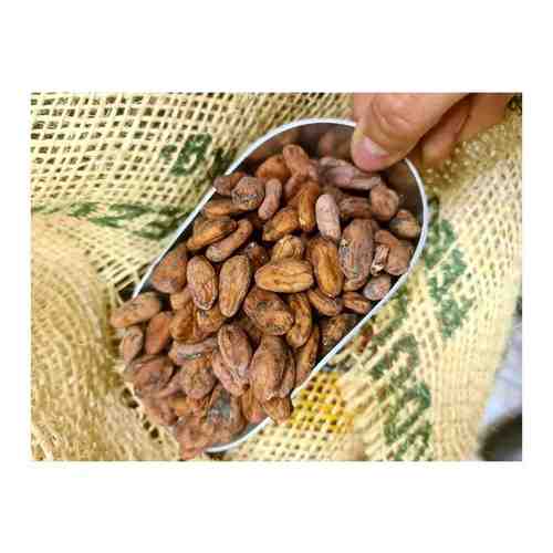 Какао бобы сорт Югопита криолло , Венесуэла 1 кг арт. 101761614442