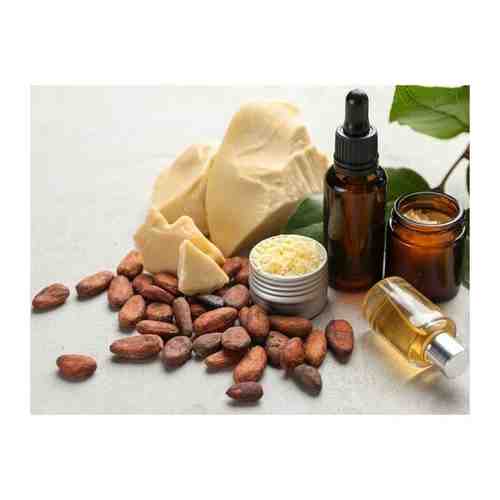Какао масло натуральное, органик Перу 1 кг арт. 101761739812