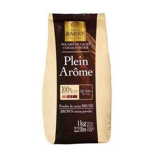 Какао-порошок Cacao Barry Plein Arome - 1 кг арт. 665298450