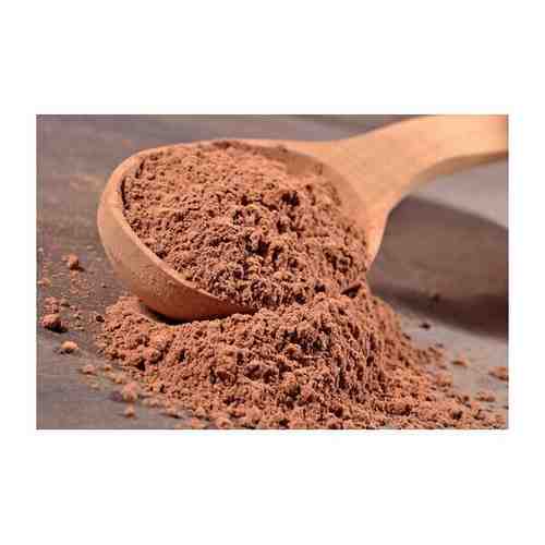 Какао-порошок натуральный 10-12% Gerkens cacao GHN (Cargill, Гана) 1 кг арт. 101762699130