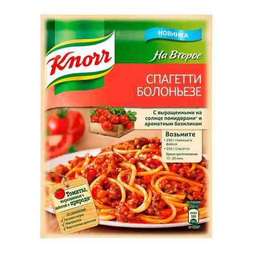 Knorr на второе приправа Спагетти болоньезе 25 гр арт. 221885681