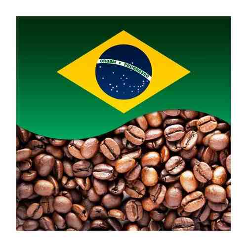 Кофе Бразилия Сантос арабика в зернах coffee Brazil santos (Бразил) 100г арт. 101545888582