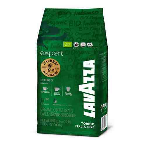 Кофе LAVAZZA в зернах TIERRA BIO Intenso 1000г арт. 884664075