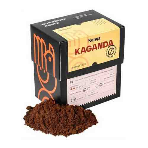 Кофе молотый Kenya Kaganda (Кения Каганда)250 гр Кофейная почта арт. 101331976644