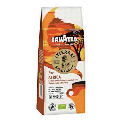Кофе молотый Lavazza Tierra Bio-Organic for Africa (Тиерра за Африку), 2x180г арт. 101769222753