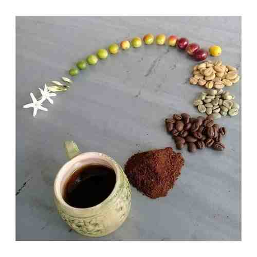 Кофе растворимый сублимированный coffee instant India (Индия) 1000 гр арт. 101647491121