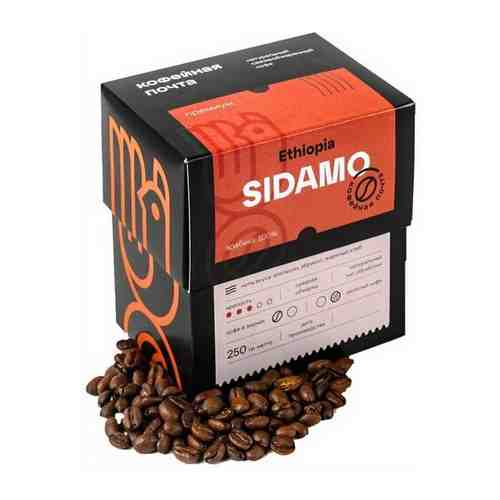 Кофе в зернах ETHIOPIA SIDAMO (Эфиопия Сидамо) 250 гр Кофейная почта арт. 101331399310