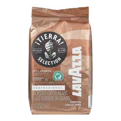 Кофе в зернах Lavazza Tierra 1 кг арт. 100431860886
