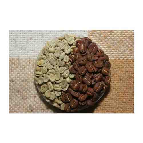 Кофе в зернах Мексика 500 гр арт. 101645880139