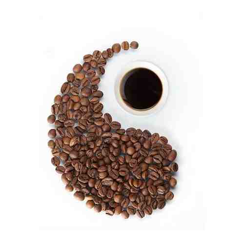 Кофе в зернах Робуста Уганда, Белая Обезьяна, 250г арт. 101259509525