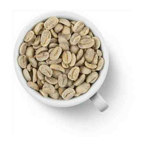 Кофе зеленый в зернах Бразилия уп. 500гр арт. 101281062763