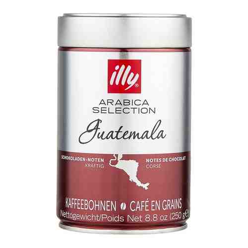 Кофе зерновой Illy Guatemala 250г. арт. 165765871