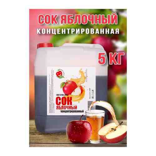 Концентрат сока Happy Apple Яблоко кисл. 1,0-1,5% 5 кг пластиковая канистра арт. 101718642619