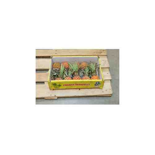 Коробка мини ананасов, 10шт арт. 1004828722