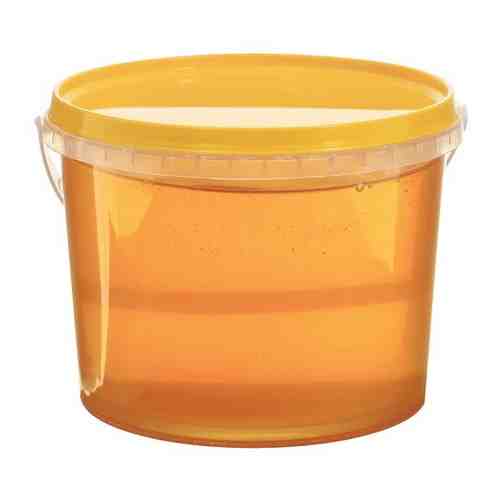 Липовый мёд 1 кг арт. 101079680010