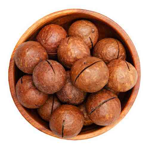 Макадамия в скорлупе, орехи с ключиком, 1 кг / 1000 г, VegaGreen, ЮАР арт. 101650633730