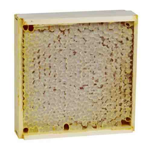 Мёд в сотах 300 грамм , упаковке арт. 101080156089
