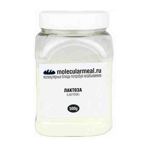 molecularmeal / Лактоза 500 г. / Пищевая добавка / Молочный сахар / Лактоза в порошке арт. 101414196634