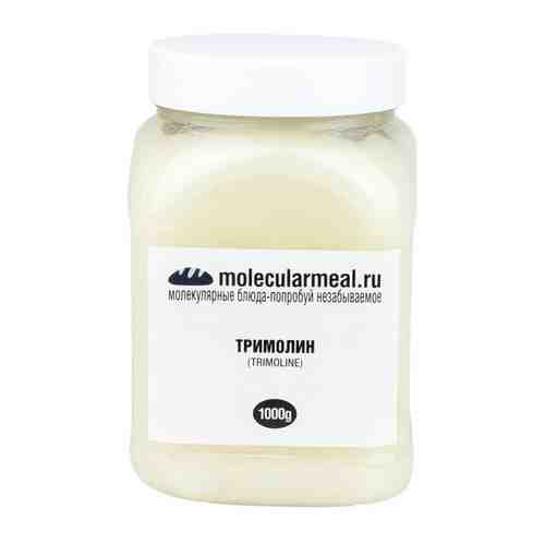 molecularmeal / Тримолин (инвертный сахар) 1000 г, глюкозно-фруктовый сироп арт. 101408789359