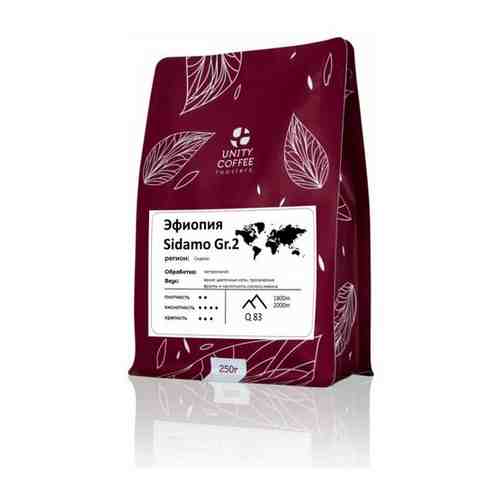 Молотый кофе Эфиопия Sidamo Gr.2 0,25 кг арт. 101326655564