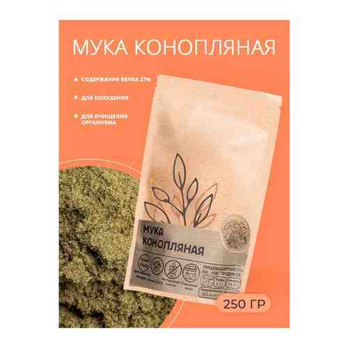 Мука конопляная из семян конопли, KONOPLEKTIKA, 250 г. арт. 100857001733