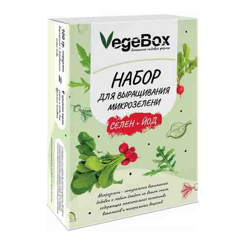 Набор Vegebox для выращивания микрозелени микс- Руккола,горчица,редис арт. 100906989632