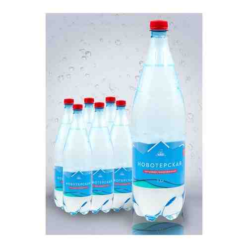 Новотерская, Вода питьевая, газированная, упаковка 6 шт по 1,5 л арт. 101765638902
