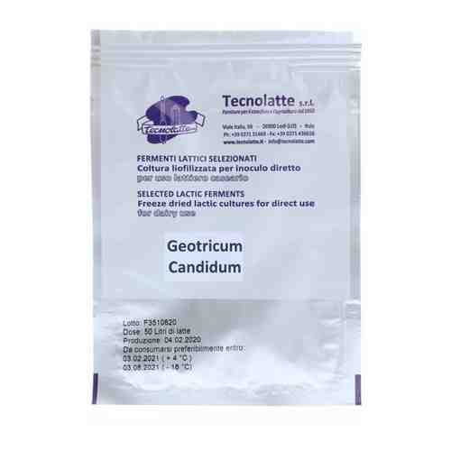 Плесень для сыров (Geotrichum Candidum) на 50 литров (Tecnolatte) арт. 101366385201