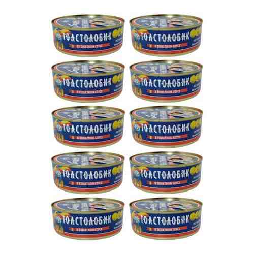 Рыбные консервы Толстолобик обжаренный в томатном соусе, соцпуть, 240 г х 10 шт арт. 101761595553