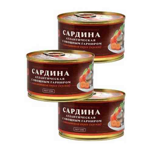 Сардина с овощным гарниром в томатном соусе 240гр 3шт арт. 101528953226