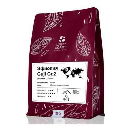 Свежеобжаренный кофе в зернах Эфиопия Guji G2 0,25 кг арт. 101762423065