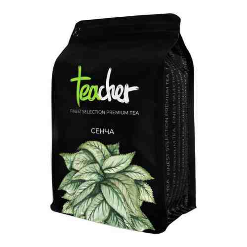 TEACHER Чай Сенча зеленый листовой 500г арт. 100445385912