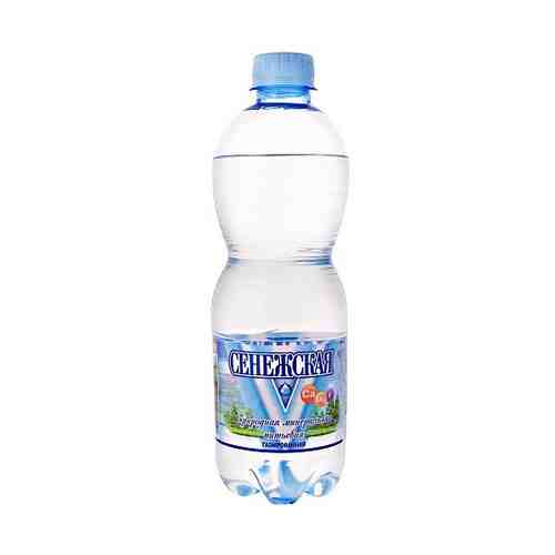 Вода газированная питьевая сенежская, 0.5 л, пластиковая бутылка, ш/к 01638 арт. 165123590