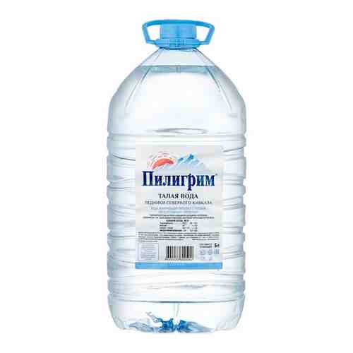 Вода минеральная, питьевая Пилигрим 19 литров, одноразовая тара арт. 100905711770