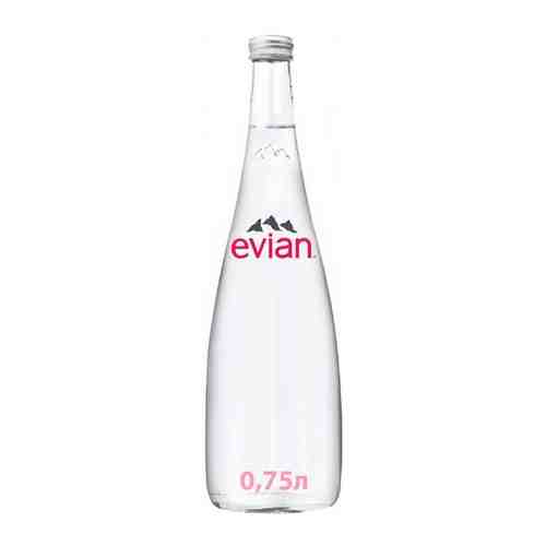 Вода минеральная природная Evian (Эвиан) 0,33 л х 20 шт, негазированная, стекло арт. 100801487009