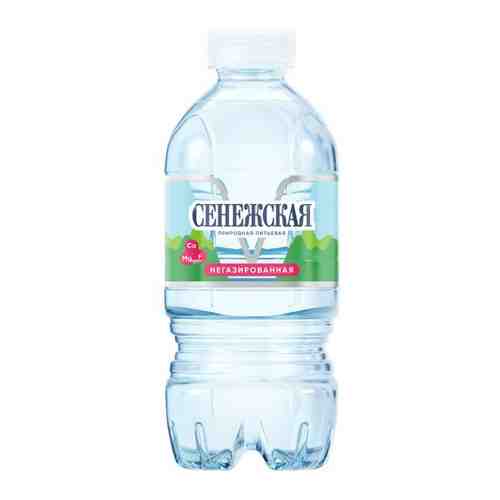 Вода негазированная питьевая сенежская, 0,33 л, пластиковая бутыль арт. 100416159314