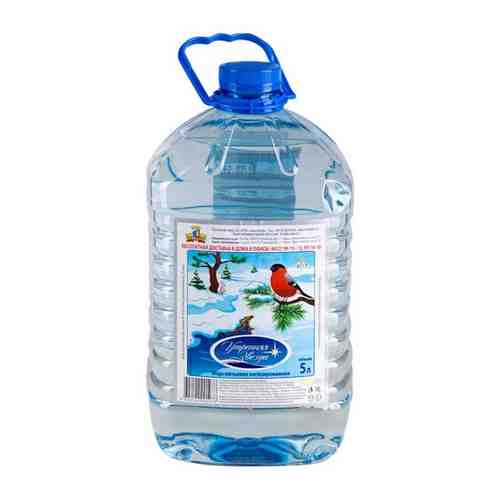 Вода питьевая негазированная Утренняя звезда, 19л, одноразовая пластиковая бутыль арт. 100938791955