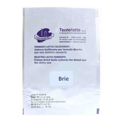 Закваска для сыра Бранзи (Branzi) на 50 литров (Tecnolatte) арт. 101366381005