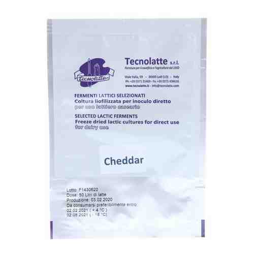 Закваска для сыра Чеддер (Cheddar) на 50 литров (Tecnolatte) арт. 101366382166